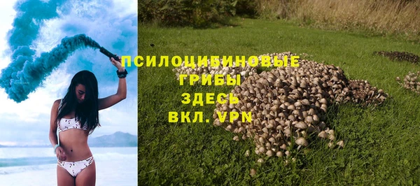 индика Армянск