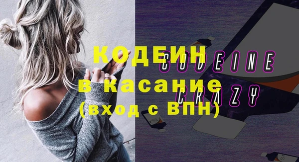индика Армянск