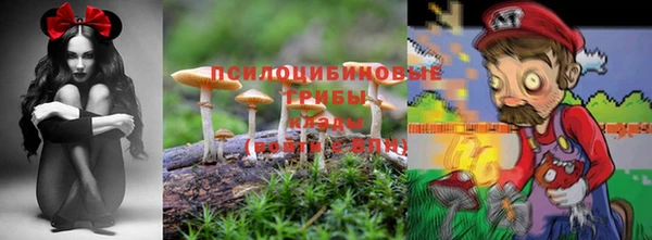 индика Армянск