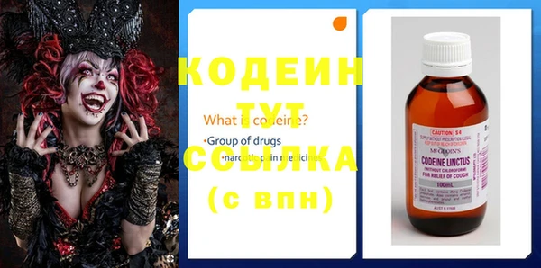 индика Армянск