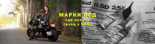 индика Армянск