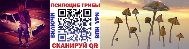 Купить  Пучеж  Галлюциногенные грибы мицелий 